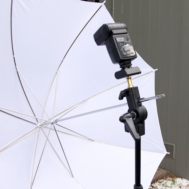 umbrella