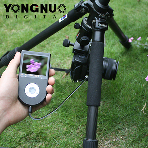 Yong Nuo Live View Nature Photography